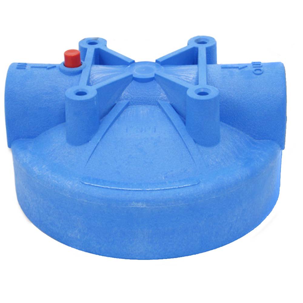 Pentair Cap with Pressure Relief Button, 1'' Blue, Fits W10-BC