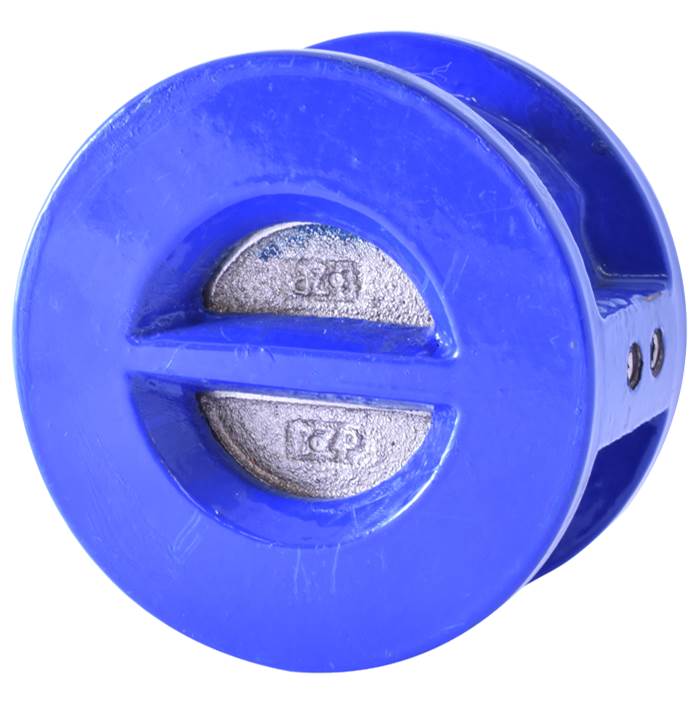Legend Valve 10'' T-312 Ductile Iron Wafer Check Valve, Stainless Steel Disc