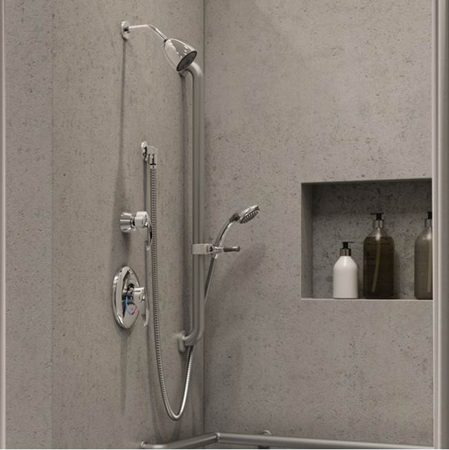 Symmons Safetymix Shower/Hand Shower